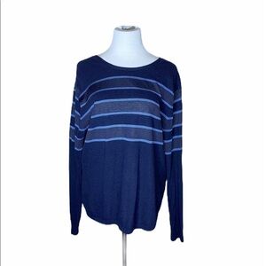 Tibi Blue Stripe sweater